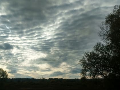 Пасмурно-дождливая погода с одним теплым днем ждет нижегородцев на этой неделе