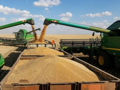 Глеб Никитин: «Стабильная господдержка аграрной отрасли играет важную роль в обеспечении продовольственной безопасности»