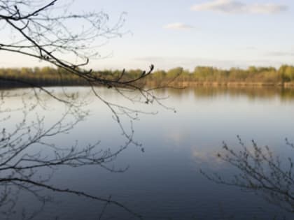 До +10 градусов потеплеет в Нижнем Новгороде на следующей неделе