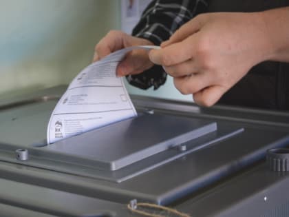 Нижегородские депутаты, пенсионер и чиновник потратили миллионы