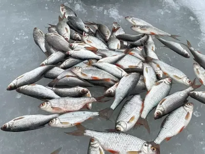 Что подарить заядлому рыбаку на праздник: топ советов от знатока