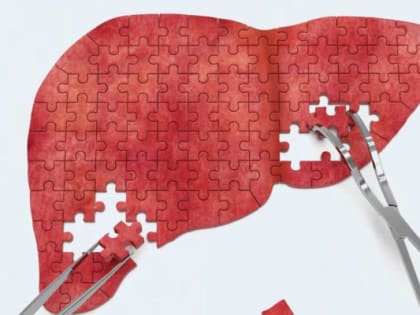 Нижегородцам напомнили о мерах профилактики вирусных гепатитов