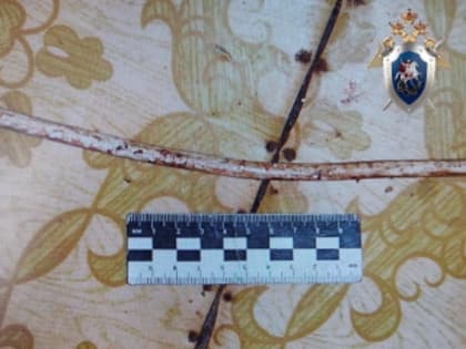 В Павловском районе Нижегородской области местный житель признан виновным в причинении смерти двум мужчинам