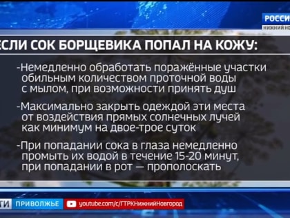 Растение-мутант "нападает" на всех, кто смеет к нему приблизиться. Как защититься?