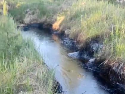 Десятиметровый ров с химическими отходами обнаружили жители в лесу неподалеку от дзержинского поселка Пыра