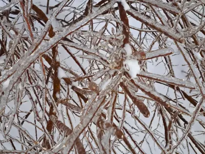 Ледяной дождь и не только: погода подкинет свинью нижегородцам