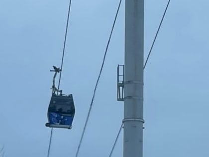 Работа канатной дороги Нижний Новгород — Бор возобновлена