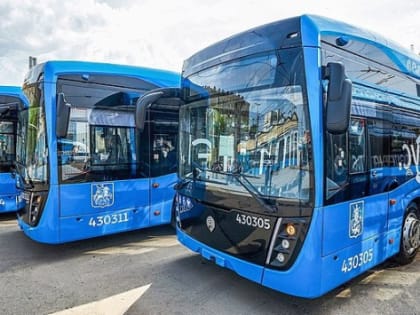В Нижегородской области на каждый электробус готовы тратить по 1 млн рублей