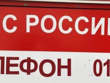 Двое мужчин заживо сгорели в рабочей бытовке в Шатковском районе