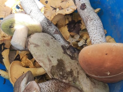 Нижегородский мэр сделал признание