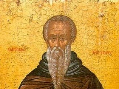 Увеличение случаев вирусного энцефалита в регионе