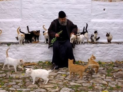 Мы должны побеждать зло миром и сердечной тишиной, мирными и тихими мыслями.