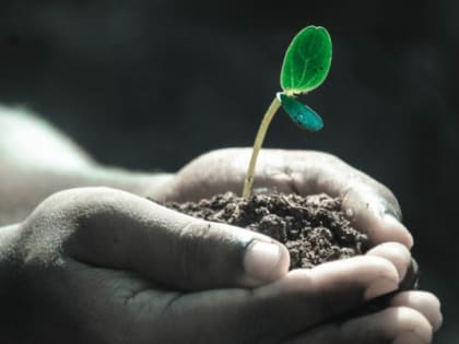 В Володарске безотходное производство удобрений запустят за 1,5 млрд рублей