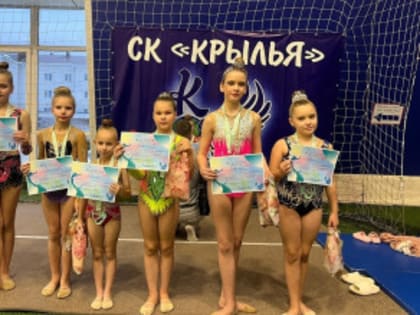 Кулебакские гимнастки успешно выступили на соревнованиях