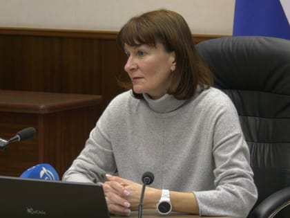 Заместитель главы города Дзержинска Наталья Китаева провела пресс-конференцию