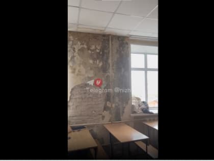 Студенты ННГУ пожаловались на сырость и плесень в учебных аудиториях