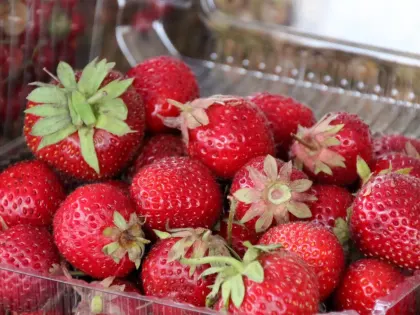 Советы по здоровью: как замороженные ягоды могут помочь в лечении простуды