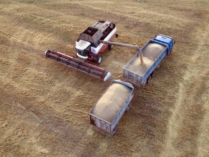 Более 5,6 млрд рублей получили нижегородские предприятия АПК в 2022 году