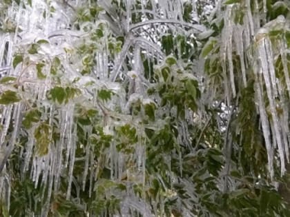 Дождь со снегом и до +4°С ожидаются в Нижнем Новгороде 1 апреля