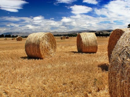 В Нижегородской области на поддержку аграриев выделили 5,7 млрд рублей