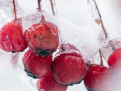 Ясная погода с холодами до -34 °C ожидает нижегородцев 10 января