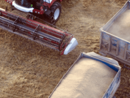 Свыше 5,6 млрд субсидий получили нижегородские предприятия АПК в 2022 году