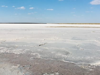 Студенты Мининского университета отправятся в научную экспедицию в Калмыкию