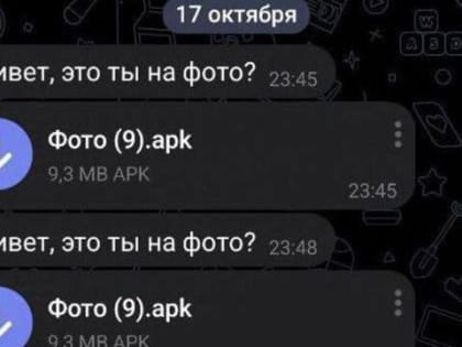 Пытаясь скачать фотографии в одном из социальных мессенджеров, жительница города Арзамаса лишилась крупной суммы денег