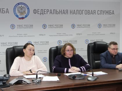 Как налогоплательщику самостоятельно узнать о состоянии ЕНС, рассказали на вебинаре в Управлении