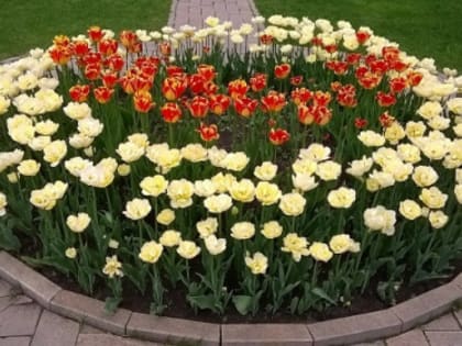 Сквер вдоль реки Параши благоустроят по ФКГС в Сормове за 68,7 млн рублей