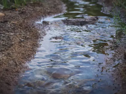 «Отравляют воды». Нижегородские теплицы попали в очередной скандал