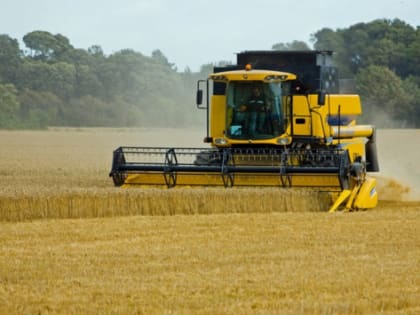 В Нижегородской области на поддержку аграриев в 2022 году потратили более 5,6 млрд рублей