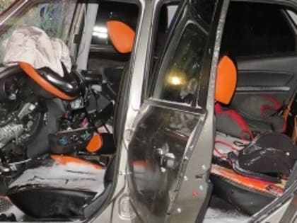 Уголовное дело возбуждено из-за ДТП с двумя погибшими детьми в Кстовском районе