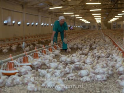 Более 60 млн направили на поддержку нижегородских молодых специалистов на селе