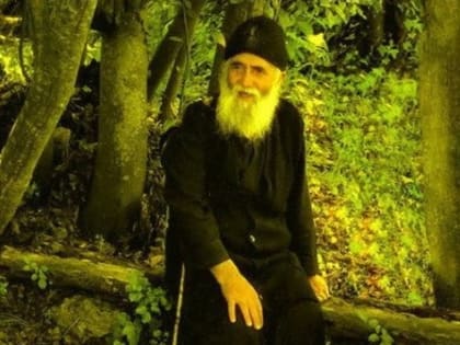 Люди работают по воскресеньям и праздникам, и на них сыпятся беды (старец Паисий Святогорец)