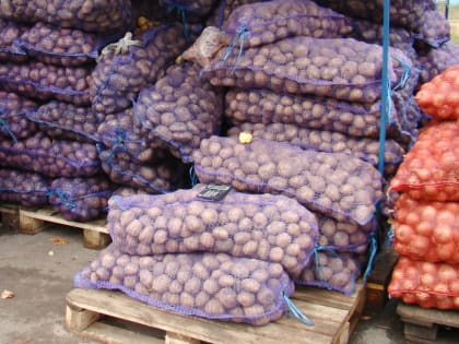 Ярмарка – на прежнем месте