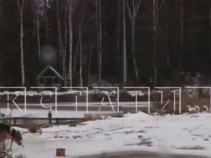 Фермеров подозревают в нарушении законов