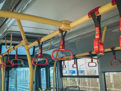 Нижегородские власти взялись за громкий скандал