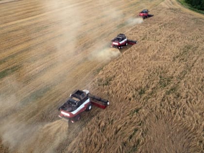Уборка зерновых культур началась в Нижегородской области