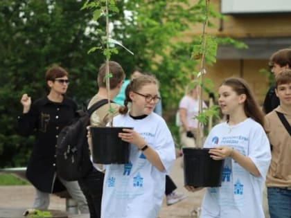 Аллея с ароматом сирени 