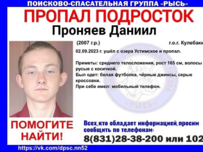 16-летний подросток ушел с пруда и пропал в Кулебаках 2 сентября