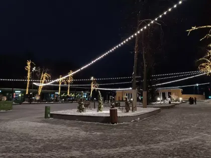 Новогодние события в городе: что ожидать в этом году