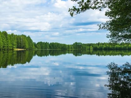 Девочка-подросток утонула в пруду в Нижнем Новгороде