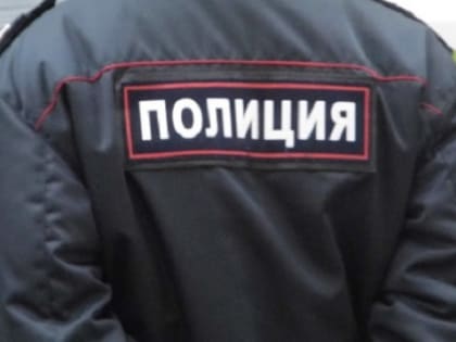 Нижегородская полиция составила протокол на избившую пьяного мужчину девушку