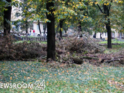 Вальщика леса убило суком сухого дерева в Ковернинском районе