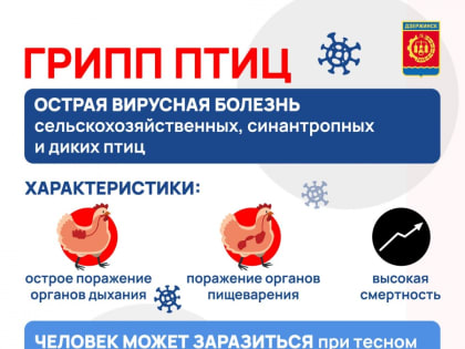 В Юрьевце купируют вспышку птичьего гриппа