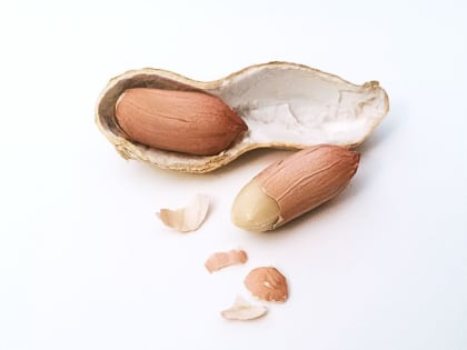 Арахис извлекли из бронхов двухлетней девочки в Нижегородской области