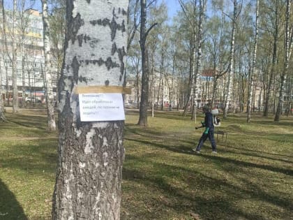 Акарицидную обработку скверов, парков и детских площадок на площади 21,5 гектара провели в Советском районе