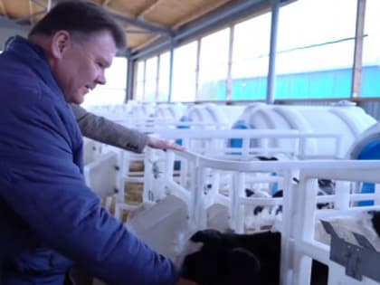 1,8 млрд руб. предусмотрено на поддержку животноводства и 1,5 млрд руб. – на поддержку растениеводства