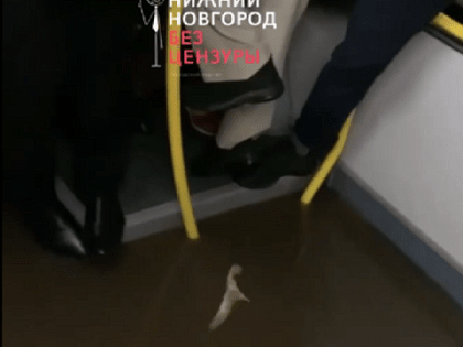 Автобус с пассажирами затопило на улице Коминтерна в Нижнем Новгороде